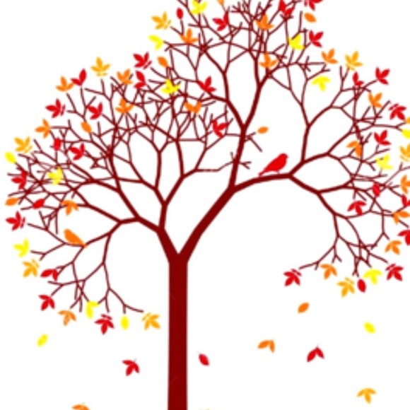 Meet your Posher, Carmen - Picture 2 of 4